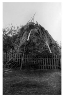 Haystack