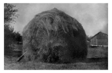 Haystack