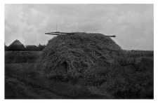 Haystack
