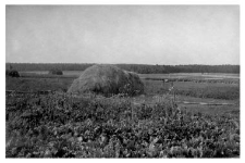 Haystack