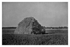 Haystacks