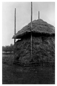 Hayrack