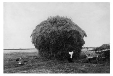 Haystack