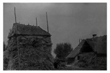 Hayrack