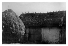 Haystack
