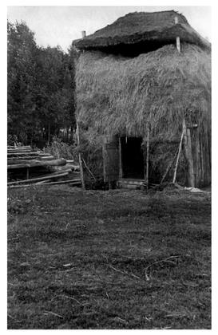 Hayrack