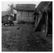 Hayrack
