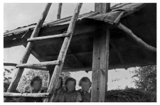 Hayrack
