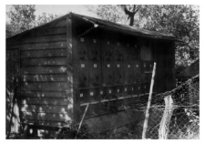 An apiary - wooden beehives