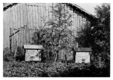 A wooden beehive
