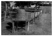 Wooden beehives and a bee skep