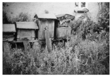 Wooden beehives