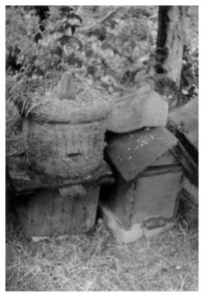 Wooden beehives and a bee skep