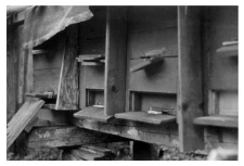 Wooden beehives