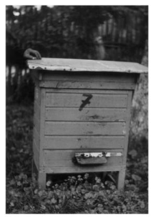 A wooden beehive