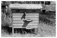 A wooden beehive