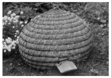 A bee skep