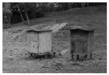 Wooden beehives