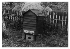 A wooden beehive