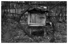 A wooden beehive
