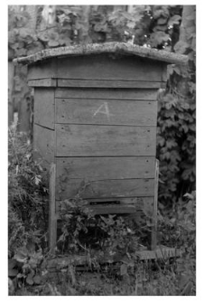 A wooden beehive