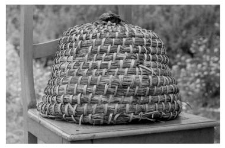 A bee skep
