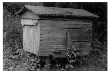 A wooden beehive
