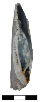 Multi-functional tool