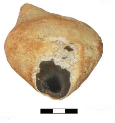 A piece of a flint nodule