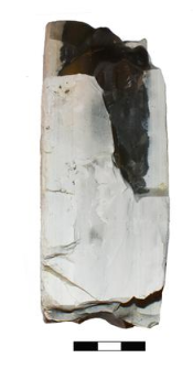 A piece of a flint nodule