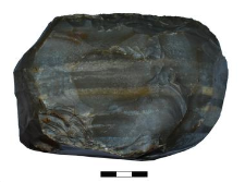 Single platform blade core