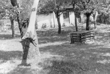 detail of a well with a shadoof