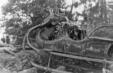 festive sleigh