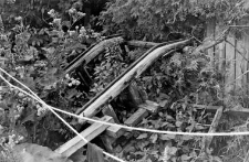 fragment of a sleigh