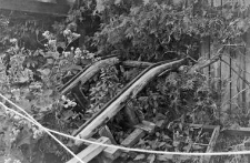 fragment of a sleigh