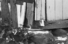 sill plate