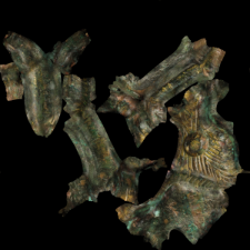 Buckle with a plate [3D]