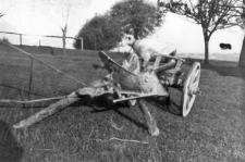 Plough