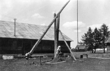 Cowshed