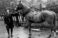 Harness
