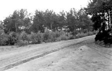 Road