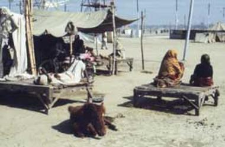 Kumbha Mela