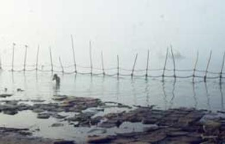 Kumbha Mela