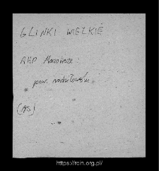 Glinki Wielkie. Files of Wizna district in the Middle Ages. Files of Historico-Geographical Dictionary of Masovia in the Middle Ages