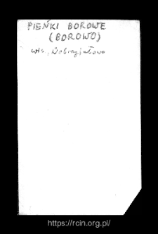 Pieńki Borowe. Files of Wizna district in the Middle Ages. Files of Historico-Geographical Dictionary of Masovia in the Middle Ages