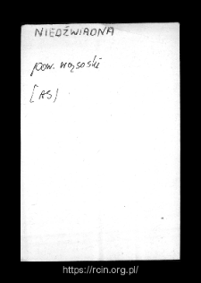 Niedźwiadna. Files of Wizna district in the Middle Ages. Files of Historico-Geographical Dictionary of Masovia in the Middle Ages