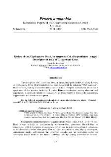 Review of the [Cyphogastra DEYR.]-supergenus (Col.: Buprestidae) &ndash; suppl. Description of male of C. cyaniceps KERR.