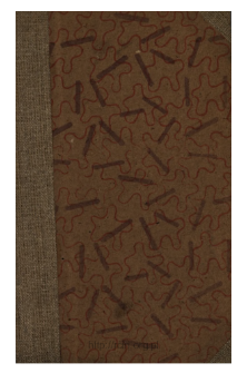 Rodzina Brochwiczów : powieść w dwóch tomach. T. 2