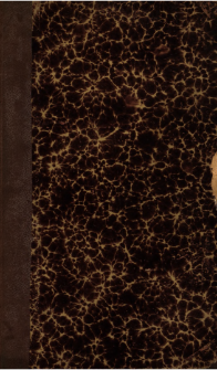 Zawisza i Zawiła czyli wędr&oacute;wka po Wielkopolsce i Mazowszu : powieść wzięta z ostatnich wypadk&oacute;w