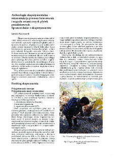 Archeologia eksperymentalna &ndash; rekonstrukcja procesu formowania i wypału ceramicznych płytek posadzkowych. Sprawozdanie z eksperyment&oacute;w